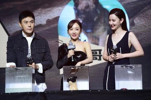 娱乐圈吃瓜大队集合视频,揭秘明星幕后故事